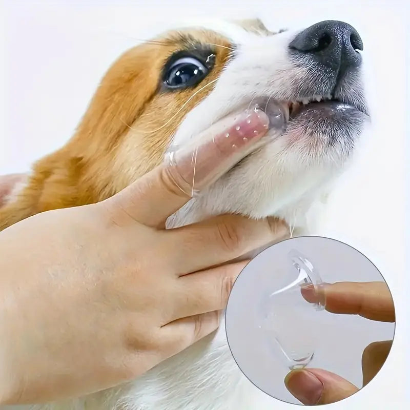 Finger Toothbrush For Dogs and Cats Finishline Cheap Online