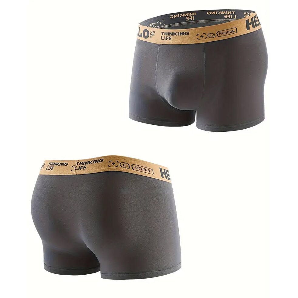 5-Pack: Plus Size Men's Boxer Briefs Buy Cheap 2025 New