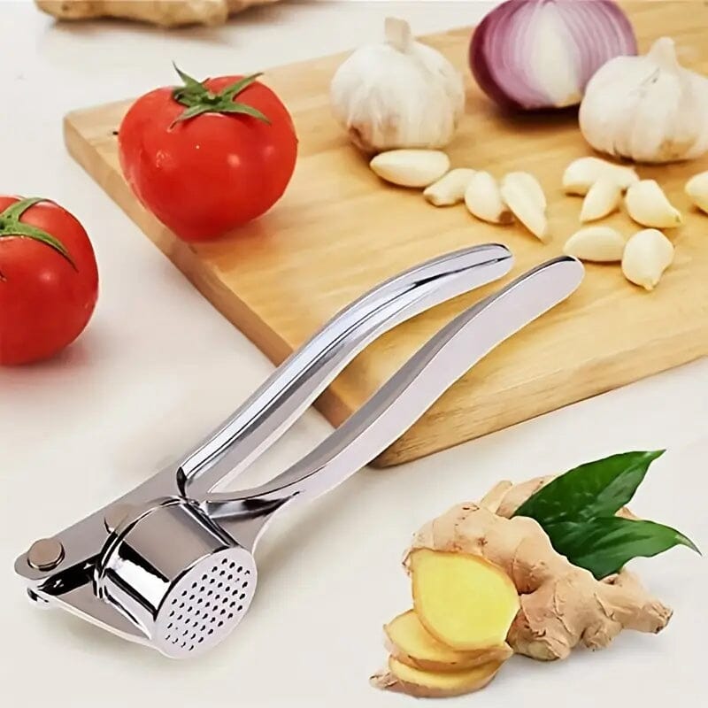 Metal Garlic Press Manually Crusher Pay With Visa Cheap Pice