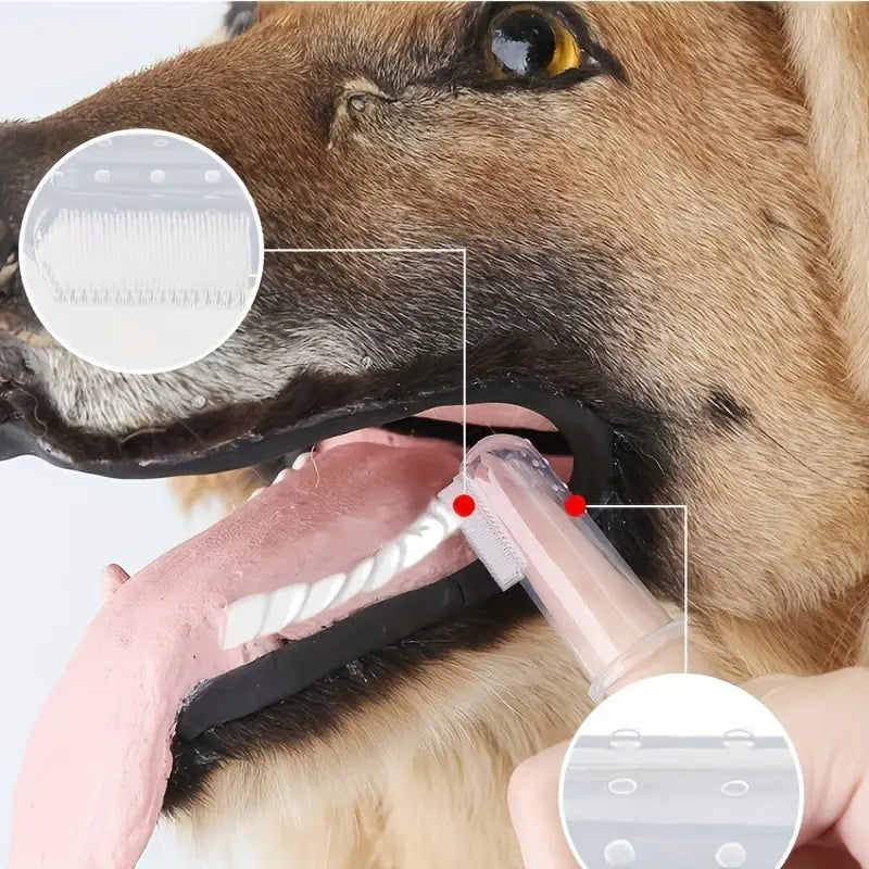 Finger Toothbrush For Dogs and Cats Finishline Cheap Online