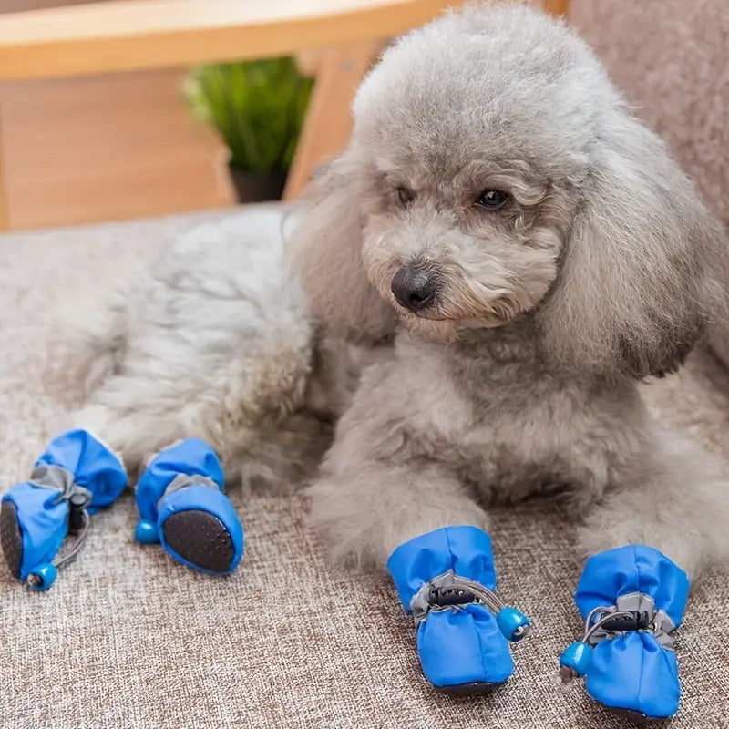 4-Pieces: Water-Resistant Dog Bootie Shoes Clearance Newest