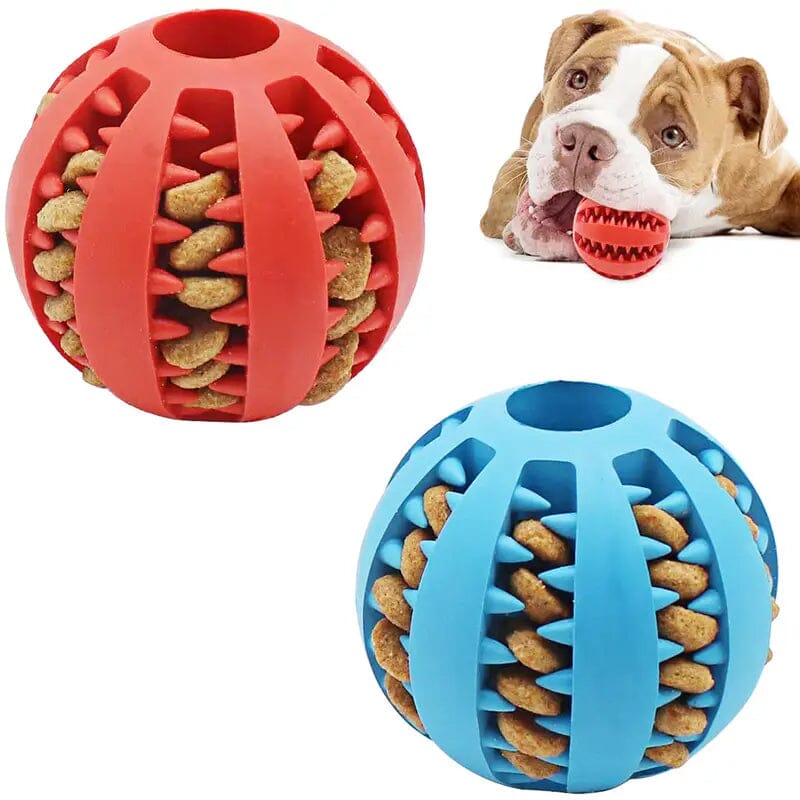 Interactive Elastic Puppy Chew Toy Buy Cheap Looking For