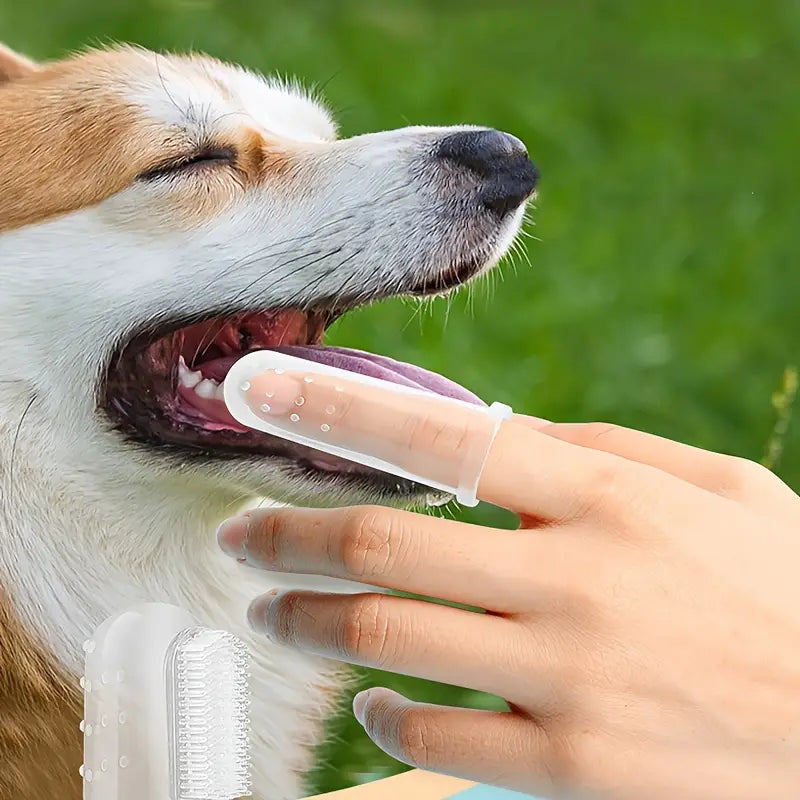 Finger Toothbrush For Dogs and Cats Finishline Cheap Online