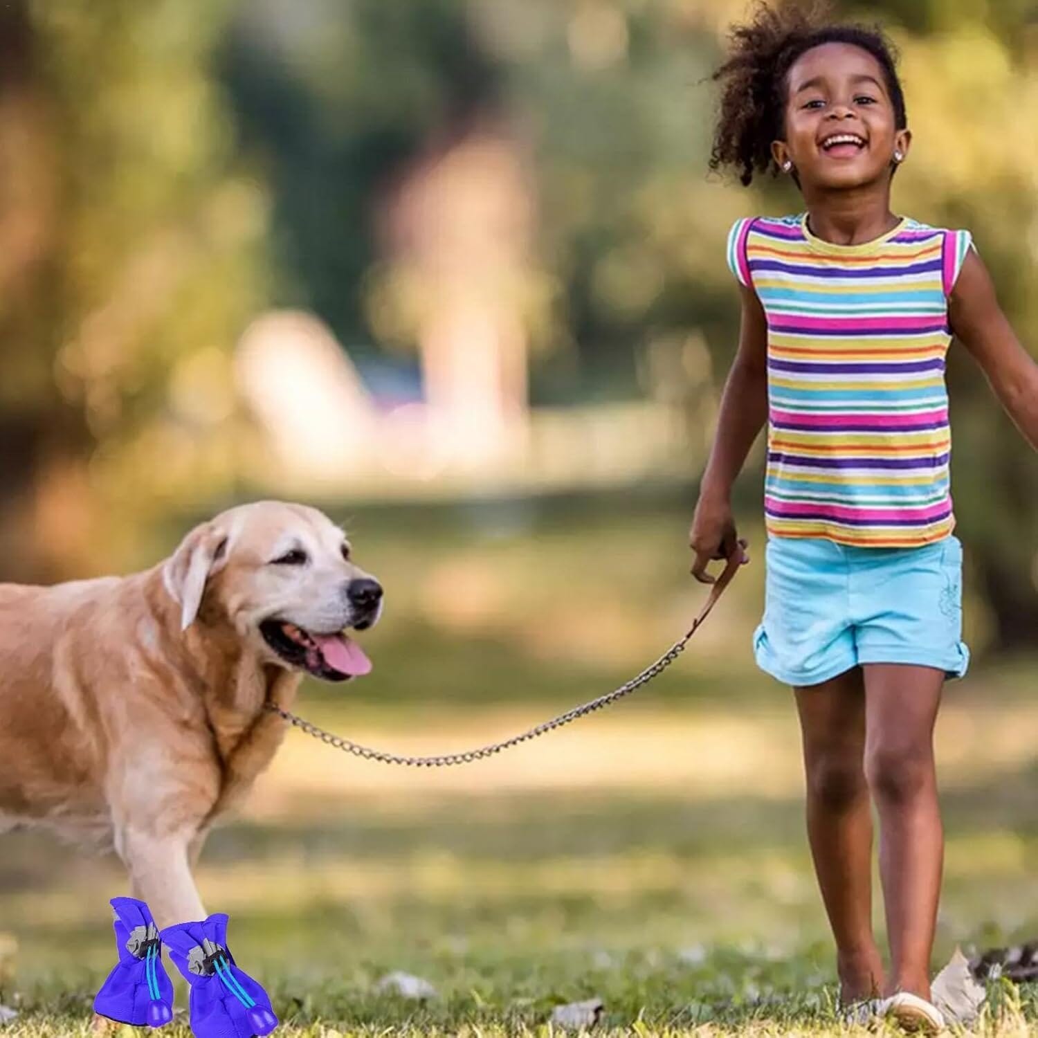 4-Pieces: Water-Resistant Dog Bootie Shoes Clearance Newest