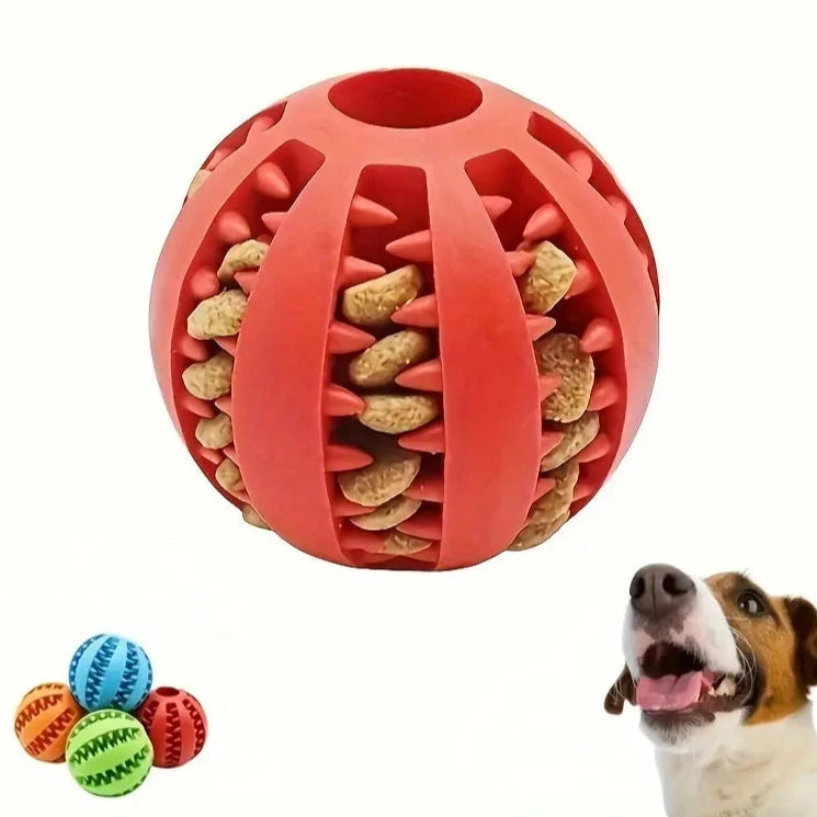 Interactive Elastic Puppy Chew Toy Buy Cheap Looking For