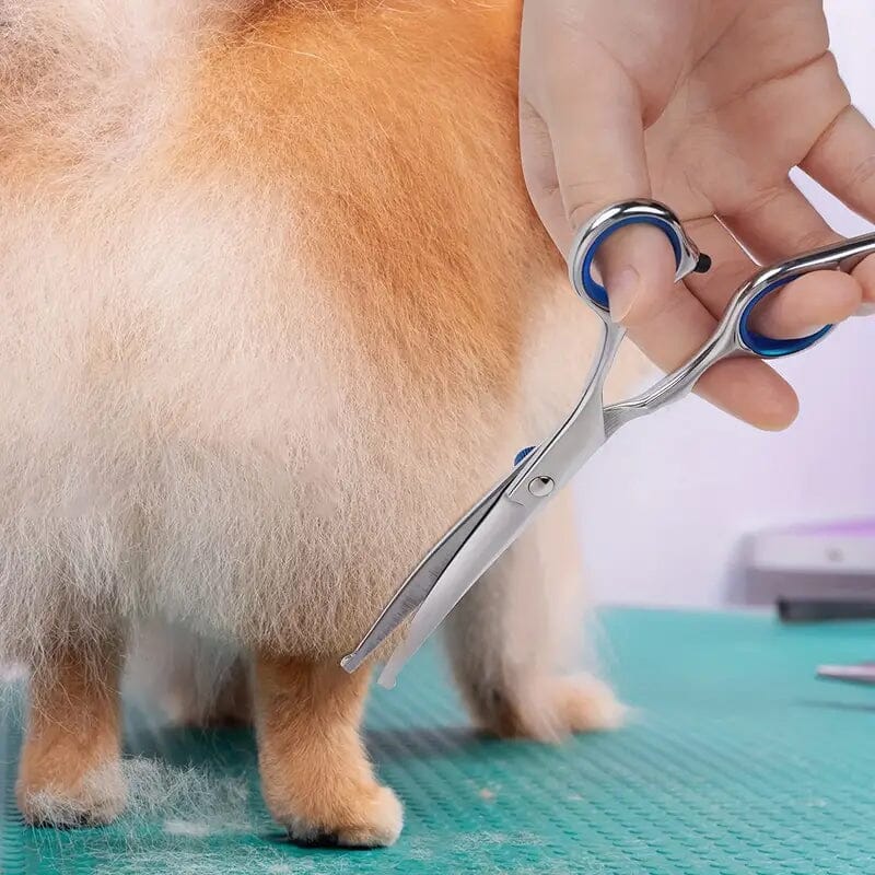 Premium Pet Grooming Scissor Cheap For Cheap